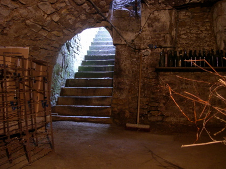 wine cellar