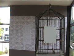 installation video still 3