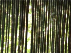 installation video still 56