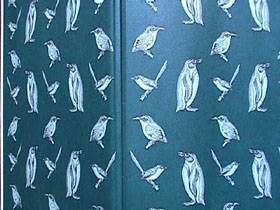 orderly birds