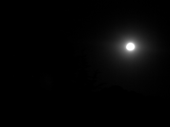 shoot me to the moon