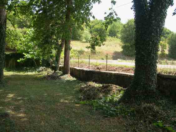 wall without ivy