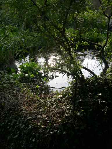 Boterenbrood pond