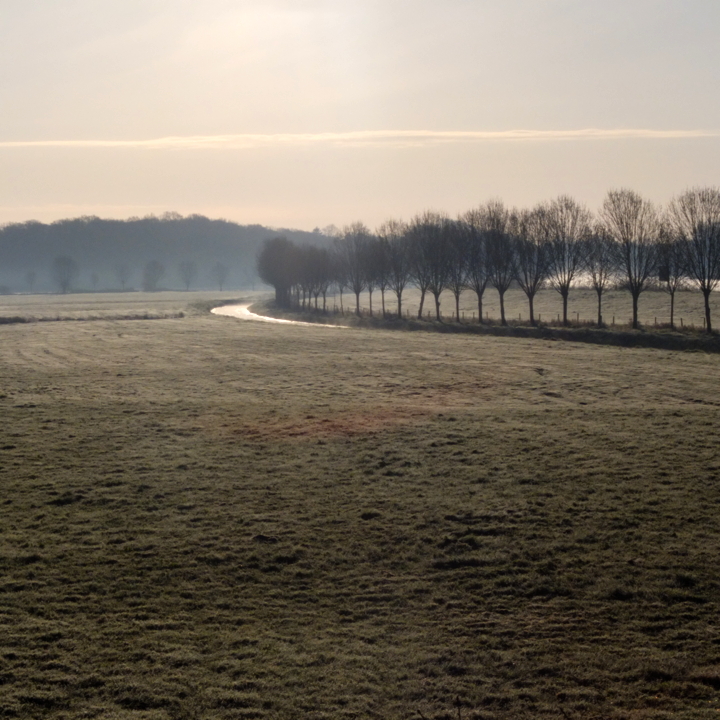 Mulra landscape